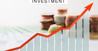Investment Fraud