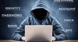 Online Fraud